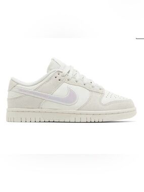 NIKE Dunk Low Iridescent Swoosh Size 9.5